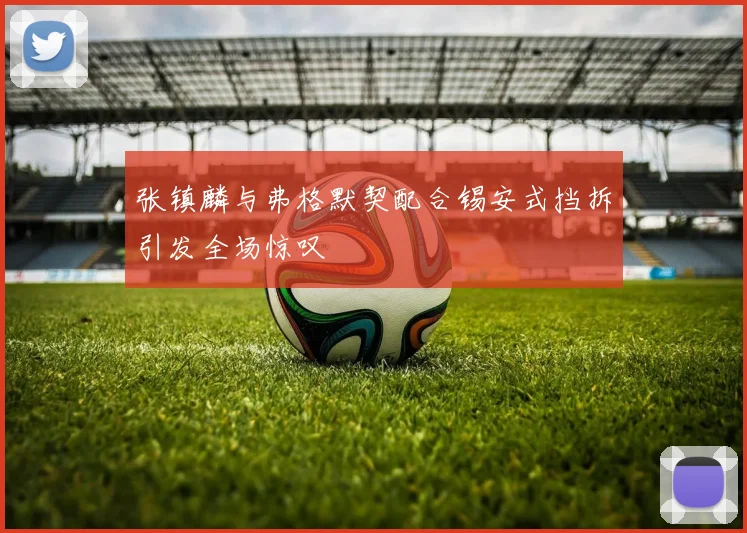 张镇麟与弗格默契配合锡安式挡拆引发全场惊叹