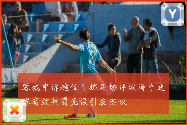 蓉城申诉越位干扰足协评议海牛进球有效判罚无误引发热议