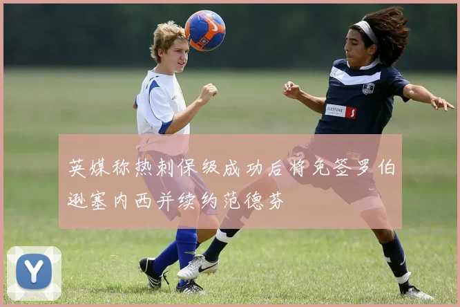 英媒称热刺保级成功后将免签罗伯逊塞内西并续约范德芬