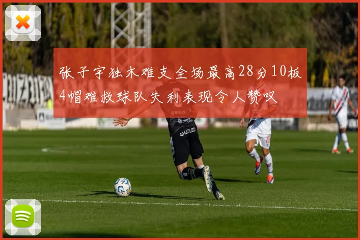 张子宇独木难支全场最高28分10板4帽难救球队失利表现令人赞叹